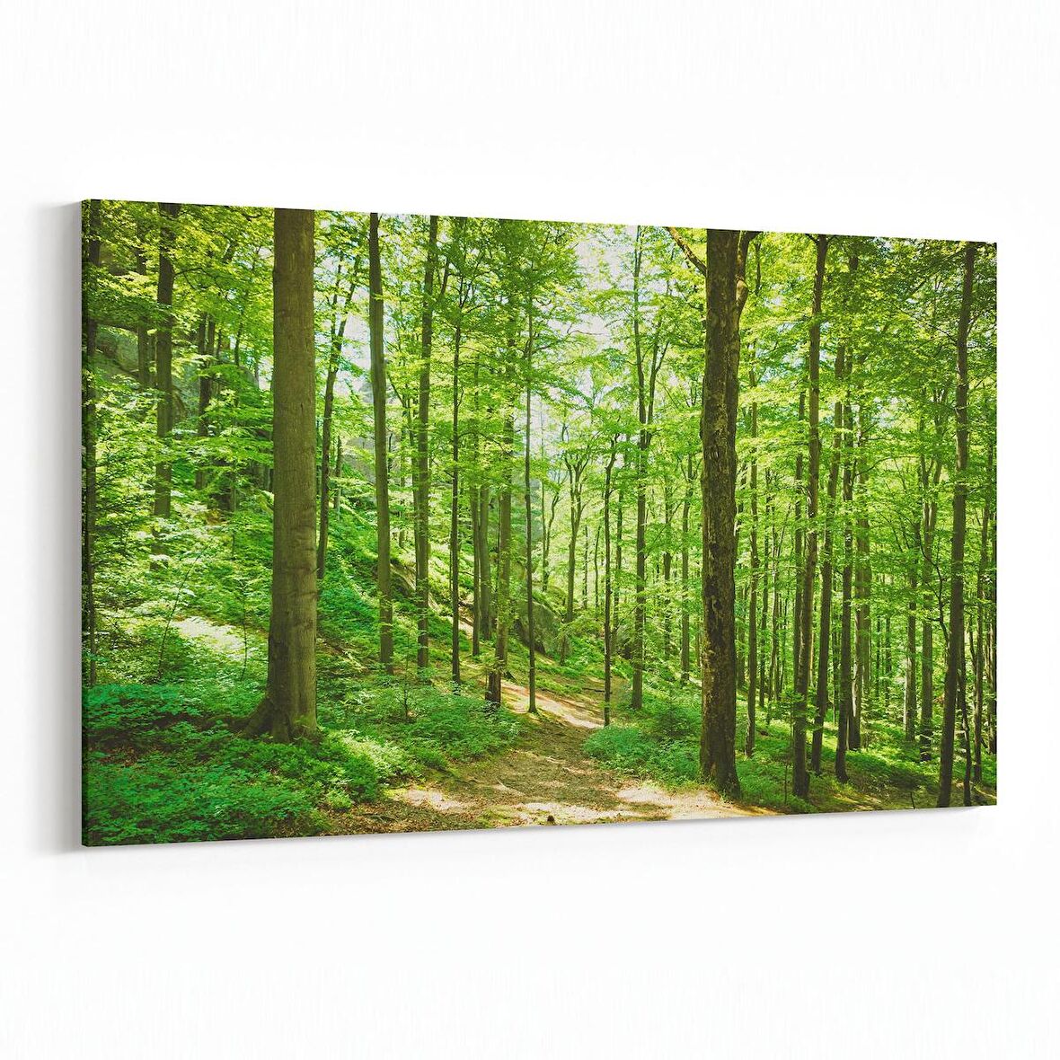 Olla 13850Y Doğa / Manzara Görseli Yatay Kanvas Tablo (Ölçü: 150X100)