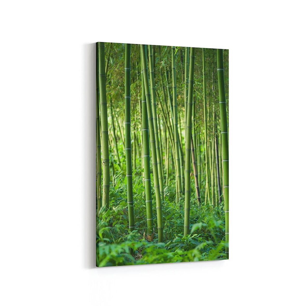 Olla 13552D Doğa / Manzara Görseli Dikey Kanvas Tablo (Ölçü: 100X150)