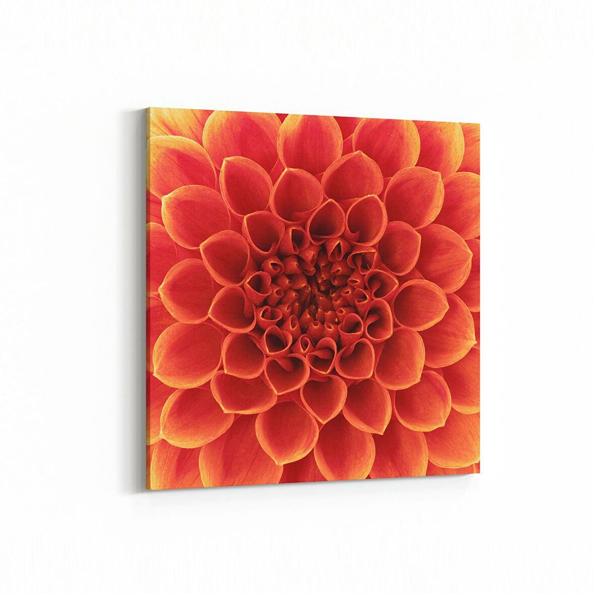 Olla 11647K Çiçek Görseli Kare Kanvas Tablo (Ölçü: 100X100)