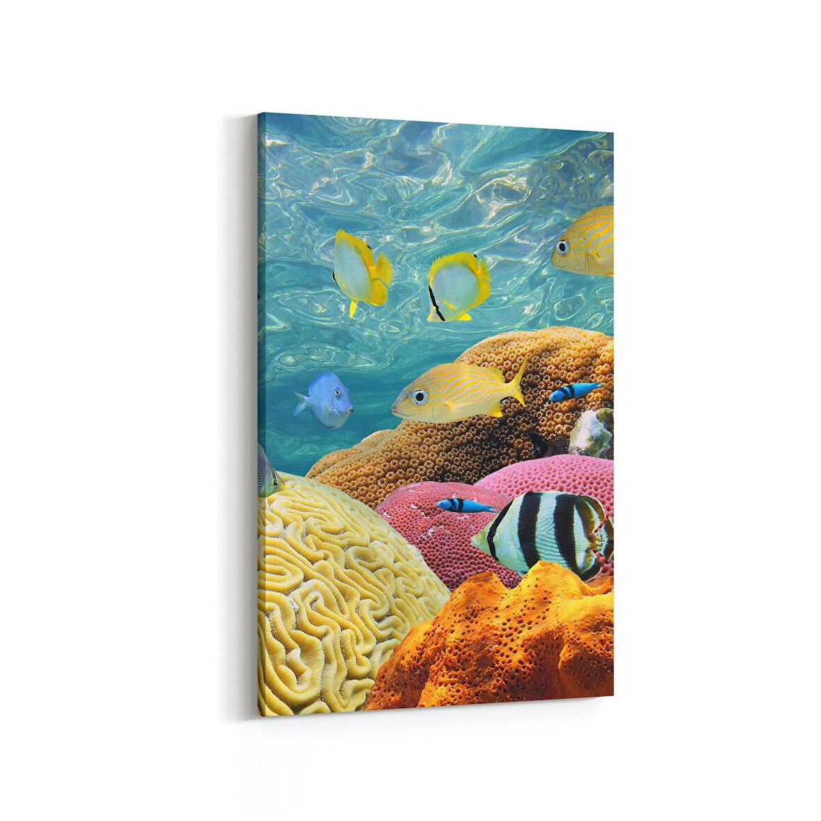 Olla 12208D Akvaryum / Balık Görseli Dikey Kanvas Tablo (Ölçü: 100X150)