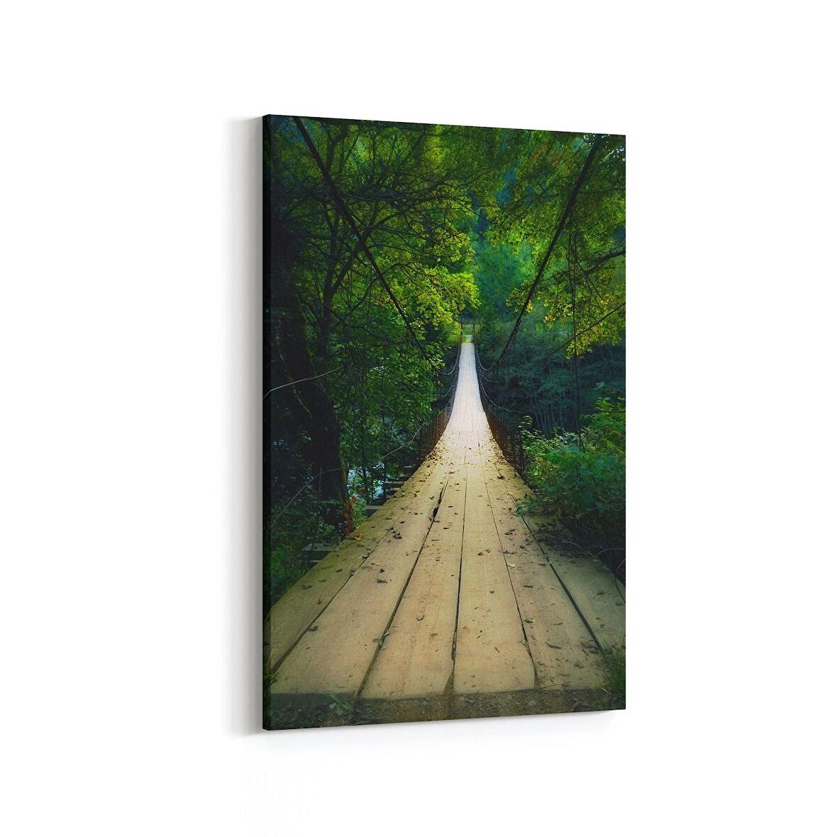 Olla 13189D Doğa / Manzara Görseli Dikey Kanvas Tablo (Ölçü: 70X105)