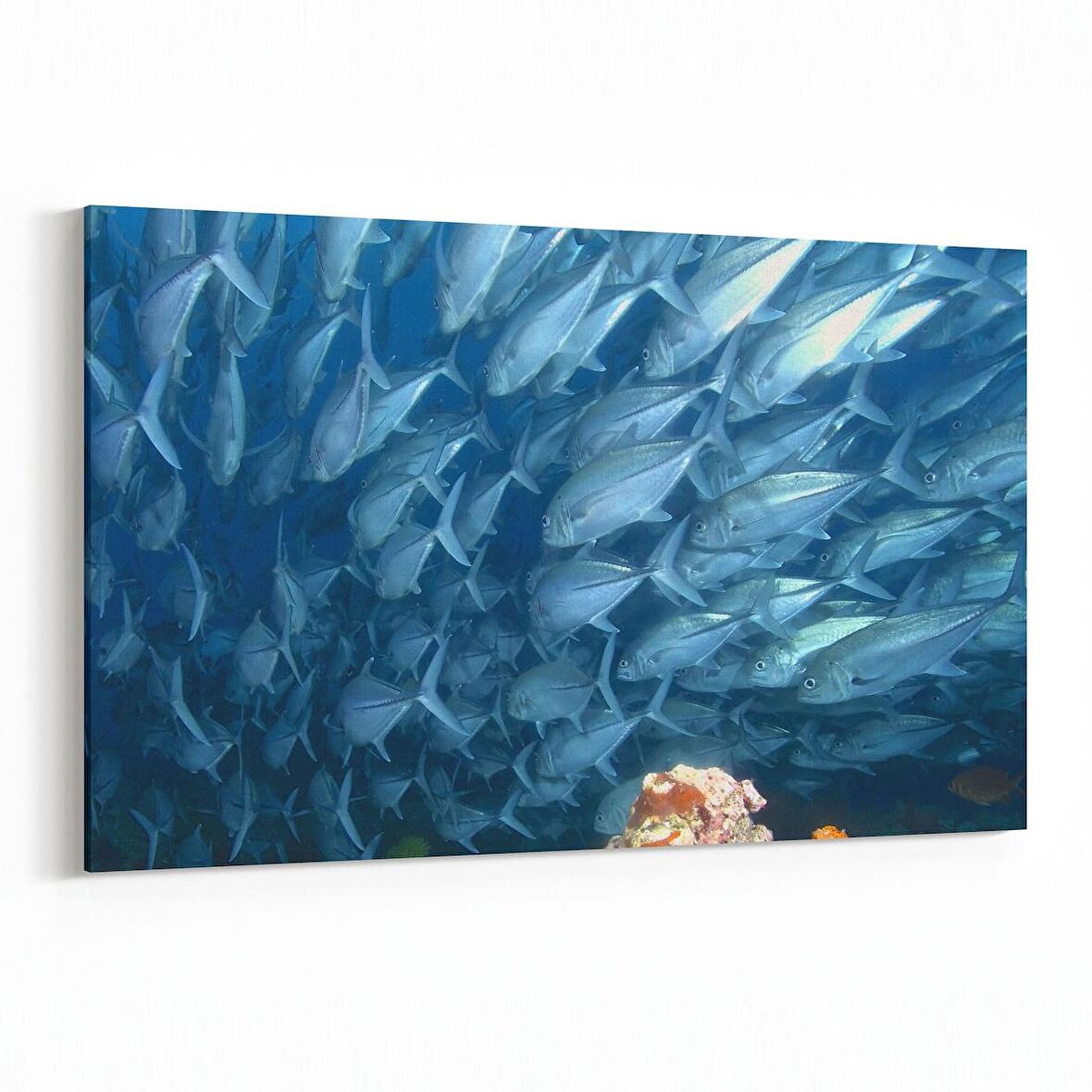 Olla 12889Y Deniz / Okyanus Görseli Yatay Kanvas Tablo (Ölçü: 30X20)