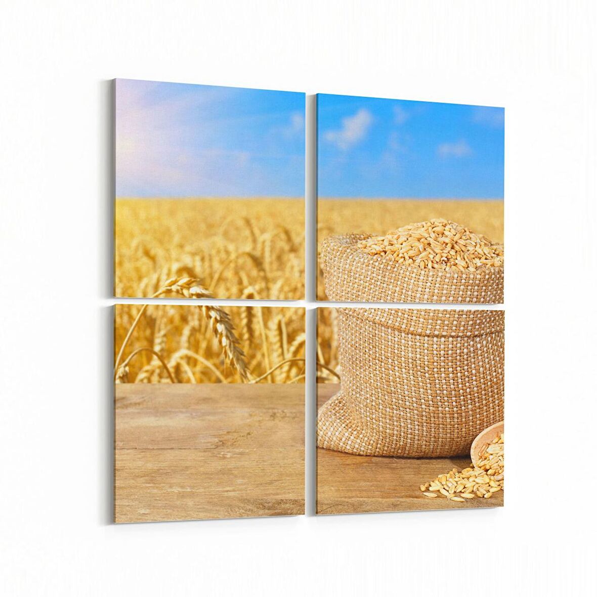 Olla 15235K4 Gıda Görseli Kare 4'lü Kanvas Tablo (Ölçü: 65X65)