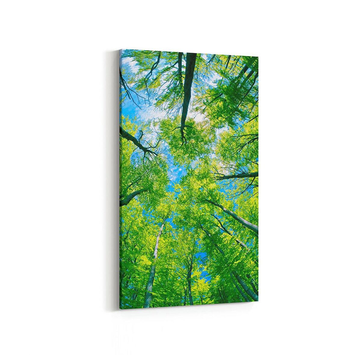 Olla 10888DD Ağaç Görseli Dikey Dar Kanvas Tablo (Ölçü: 40X80)