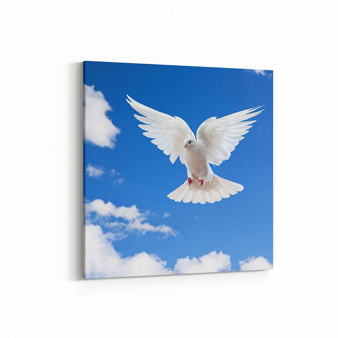 Olla 15879K Gökyüzü Kuşlar Görseli Kare Kanvas Tablo (Ölçü: 25X25)