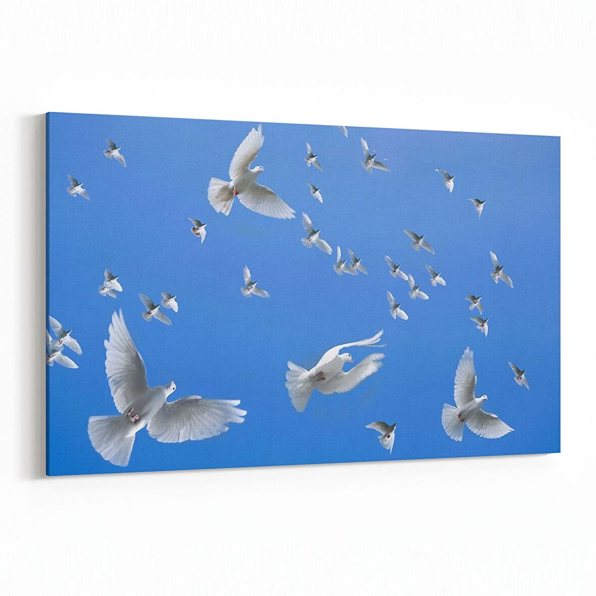 Olla 15862Y Gökyüzü Kuşlar Görseli Yatay Kanvas Tablo (Ölçü: 90X60)