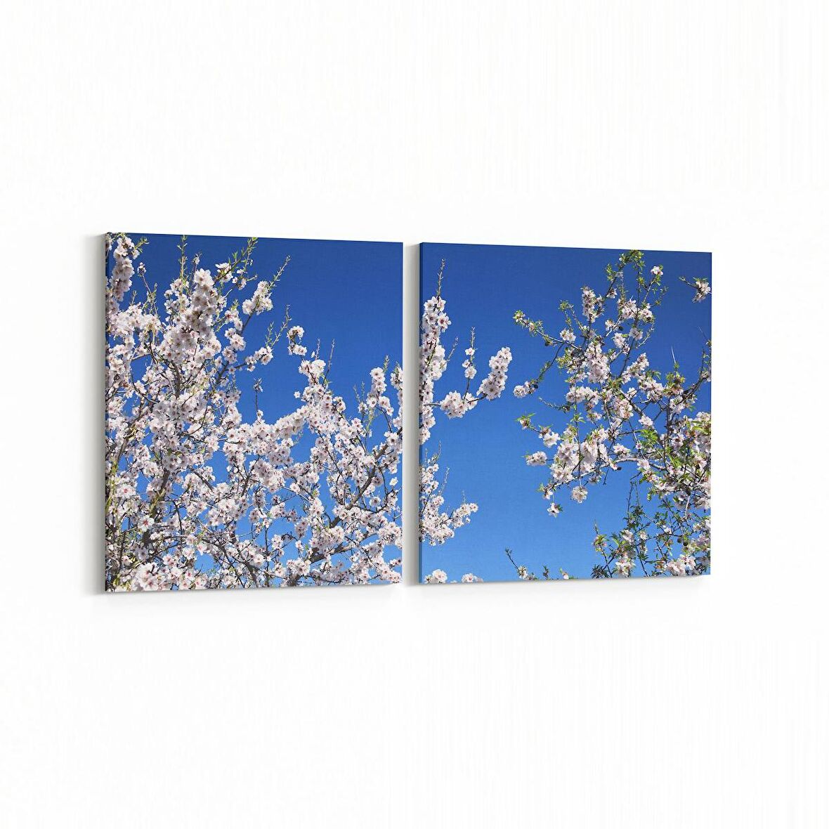 Olla 10937K2Y Ağaç Görseli Kare 2'li Yatay Kanvas Tablo (Ölçü: 125X60)