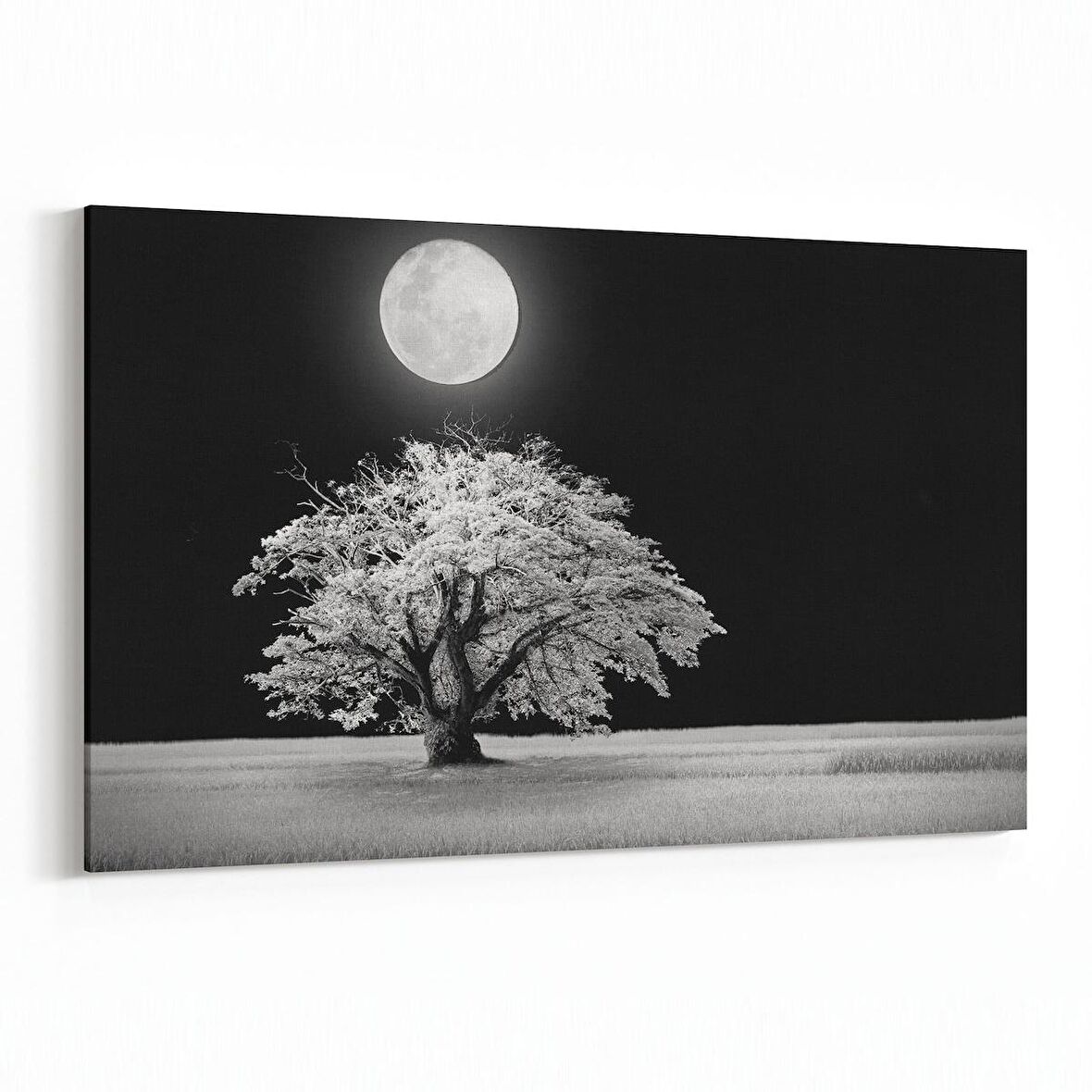 Olla 14475Y Doğa / Manzara Görseli Yatay Kanvas Tablo (Ölçü: 150X100)