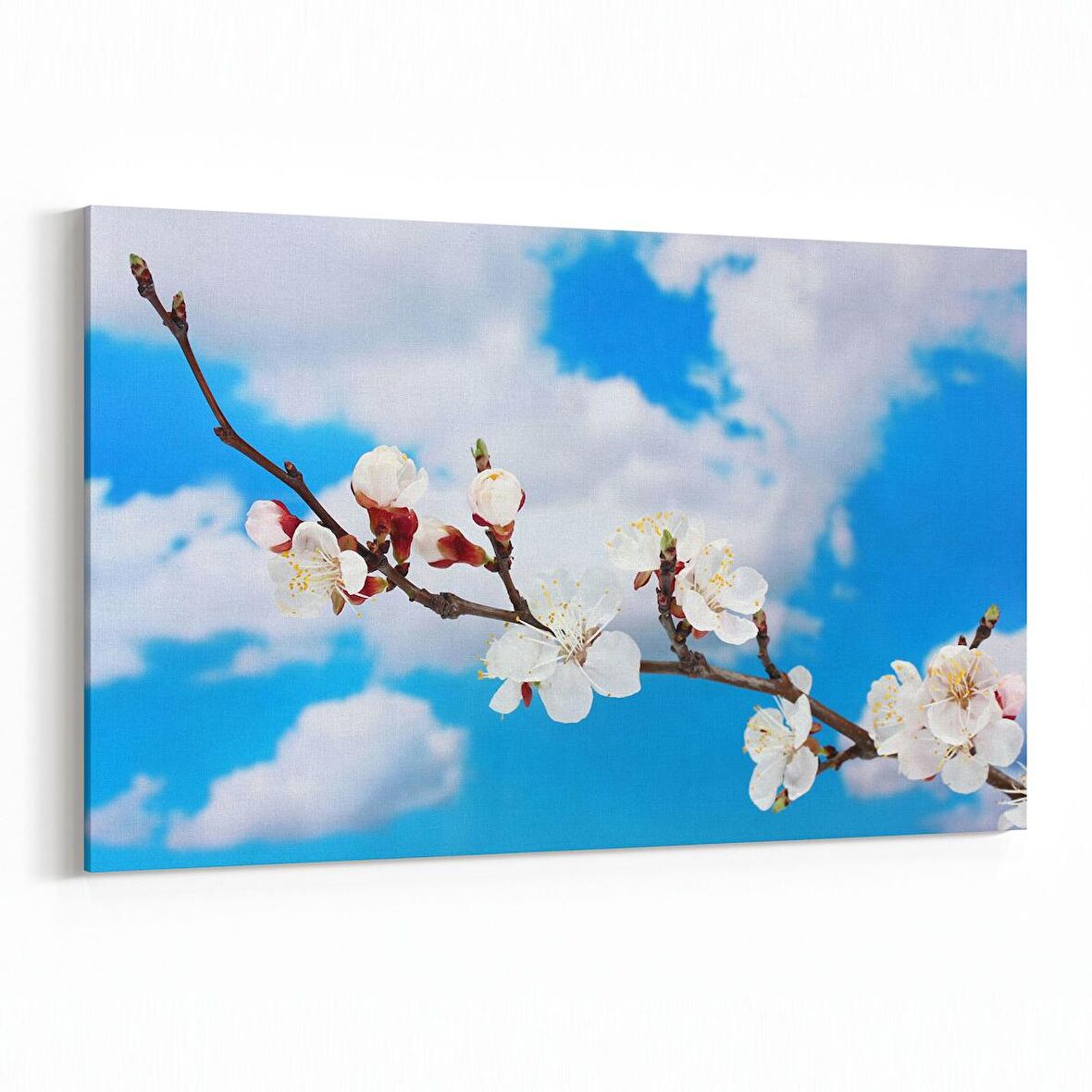 Olla 10483Y Ağaç Görseli Yatay Kanvas Tablo (Ölçü: 120X80)