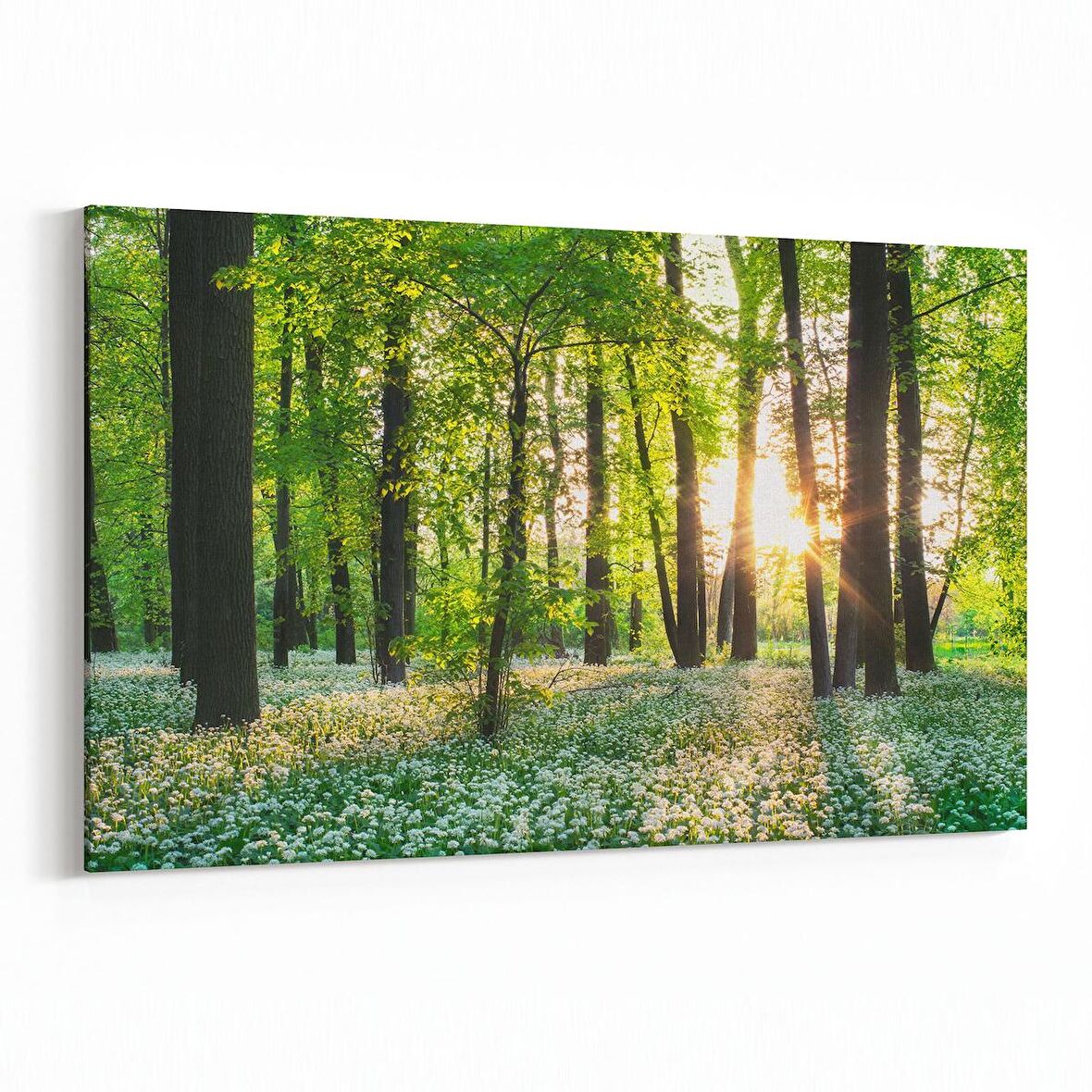 Olla 14017Y Doğa / Manzara Görseli Yatay Kanvas Tablo (Ölçü: 90X60)