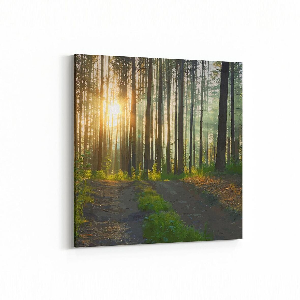 Olla 13833K Doğa / Manzara Görseli Kare Kanvas Tablo (Ölçü: 30X30)