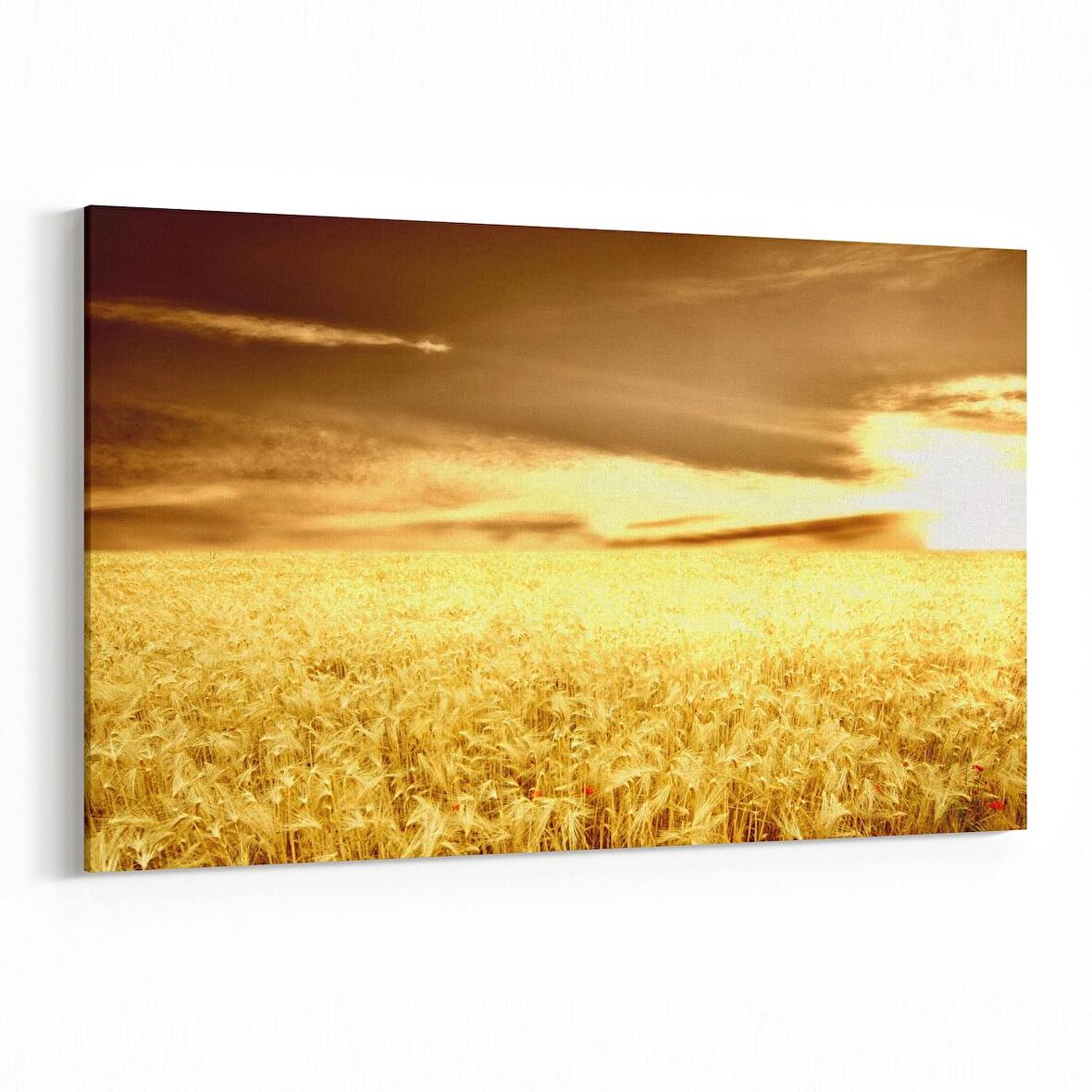 Olla 15895Y Günbatımı Görseli Yatay Kanvas Tablo (Ölçü: 70X50)