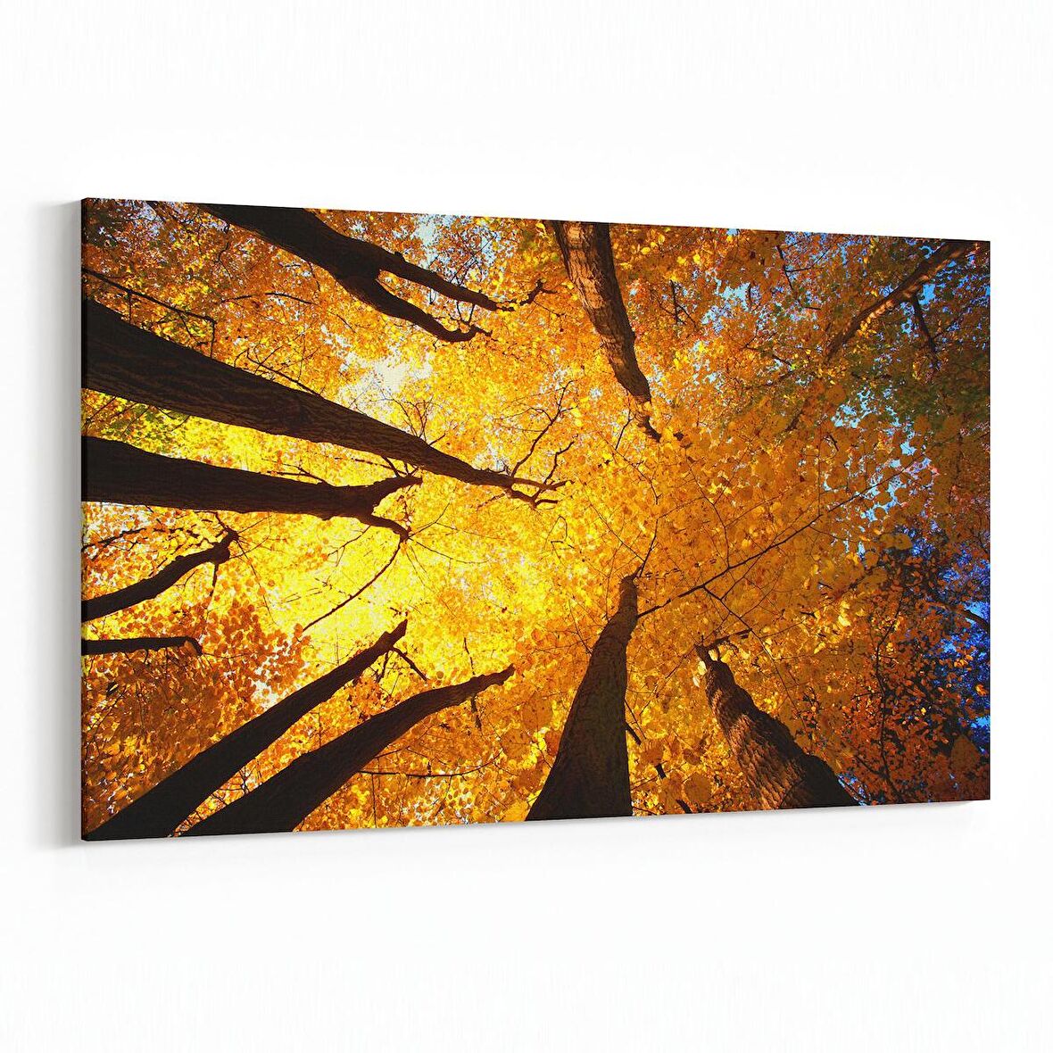 Olla 11039Y Ağaç Görseli Yatay Kanvas Tablo (Ölçü: 120X80)