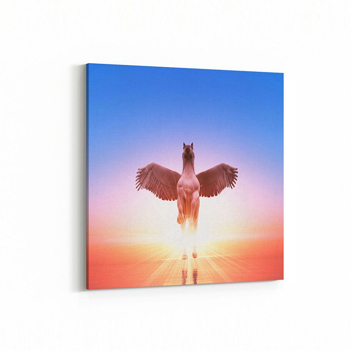 Olla 12500K Hayvanlar Alemi Görseli Kare Kanvas Tablo (Ölçü: 100X100)