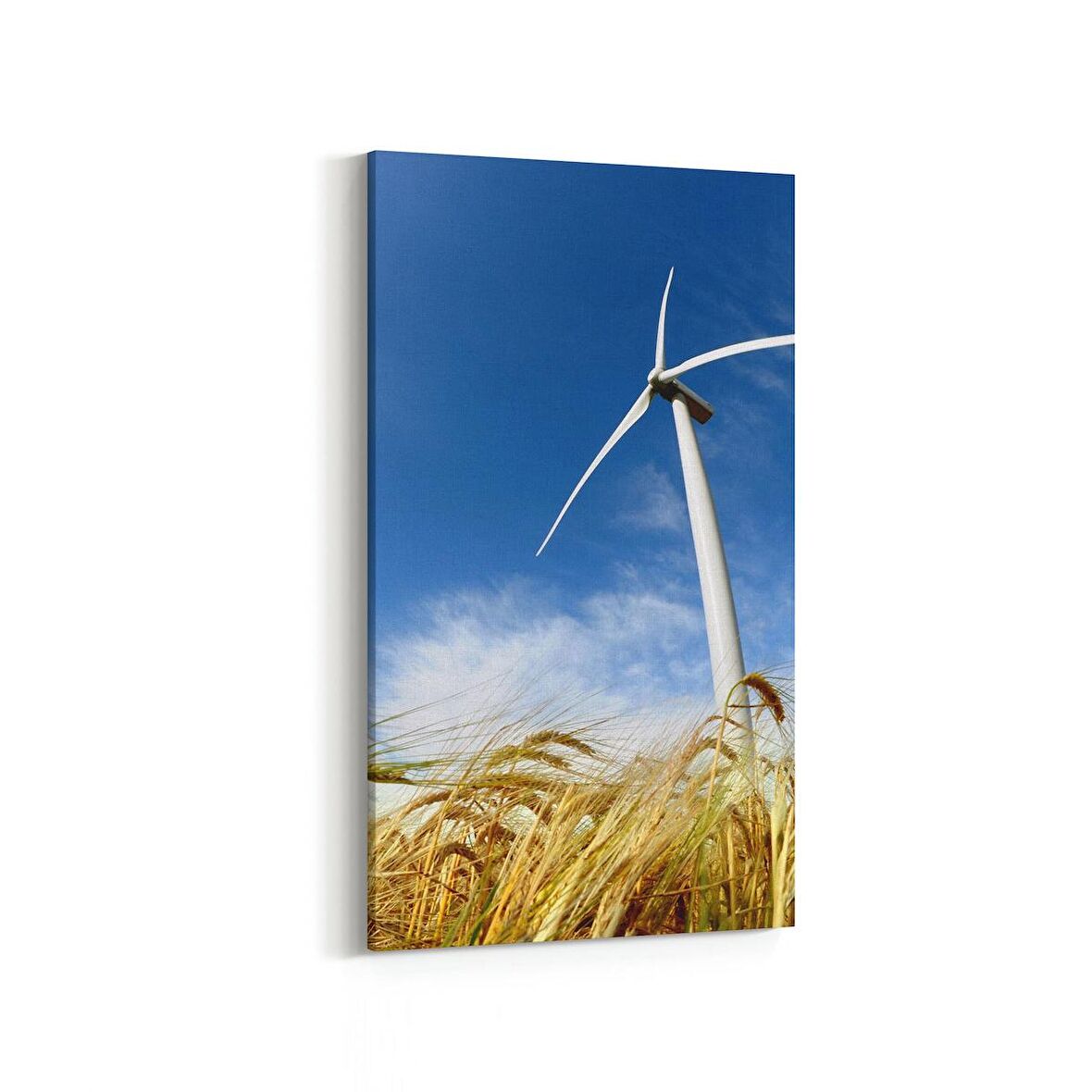 Olla 13922DD Doğa / Manzara Görseli Dikey Dar Kanvas Tablo (Ölçü: 60X120)