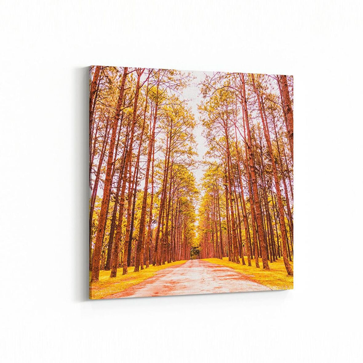 Olla 14101K Doğa / Manzara Görseli Kare Kanvas Tablo (Ölçü: 30X30)