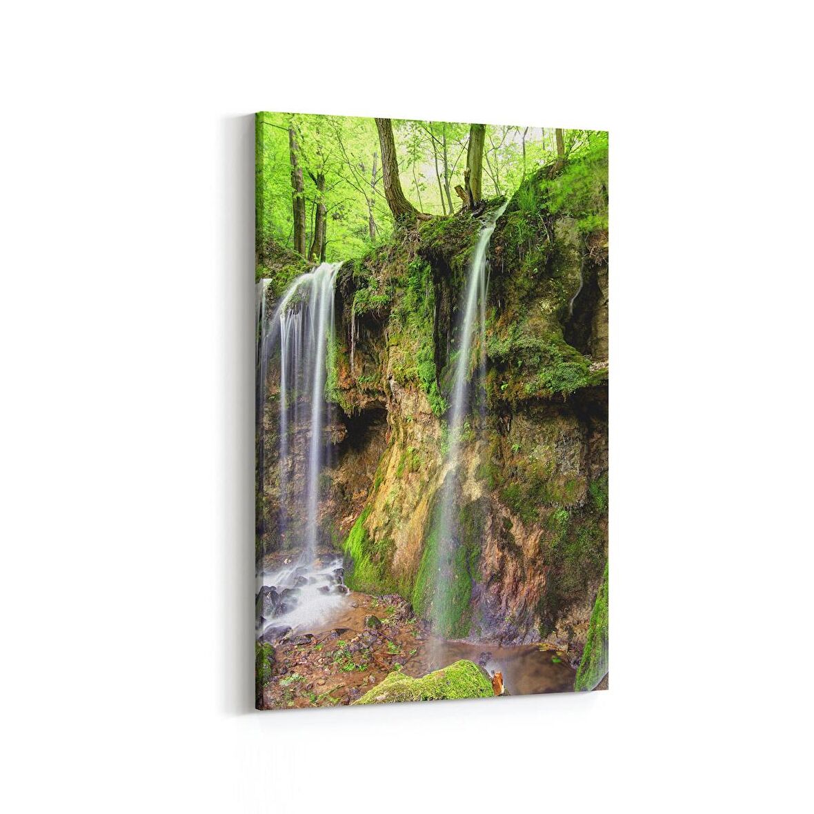 Olla 13840D Doğa / Manzara Görseli Dikey Kanvas Tablo (Ölçü: 60X90)