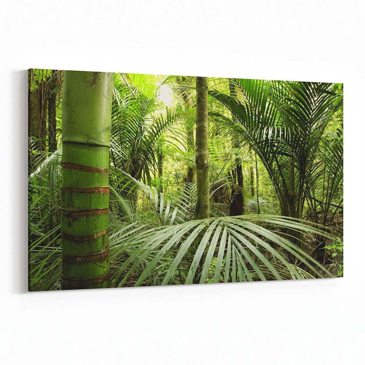 Olla 13524Y Doğa / Manzara Görseli Yatay Kanvas Tablo (Ölçü: 70X50)