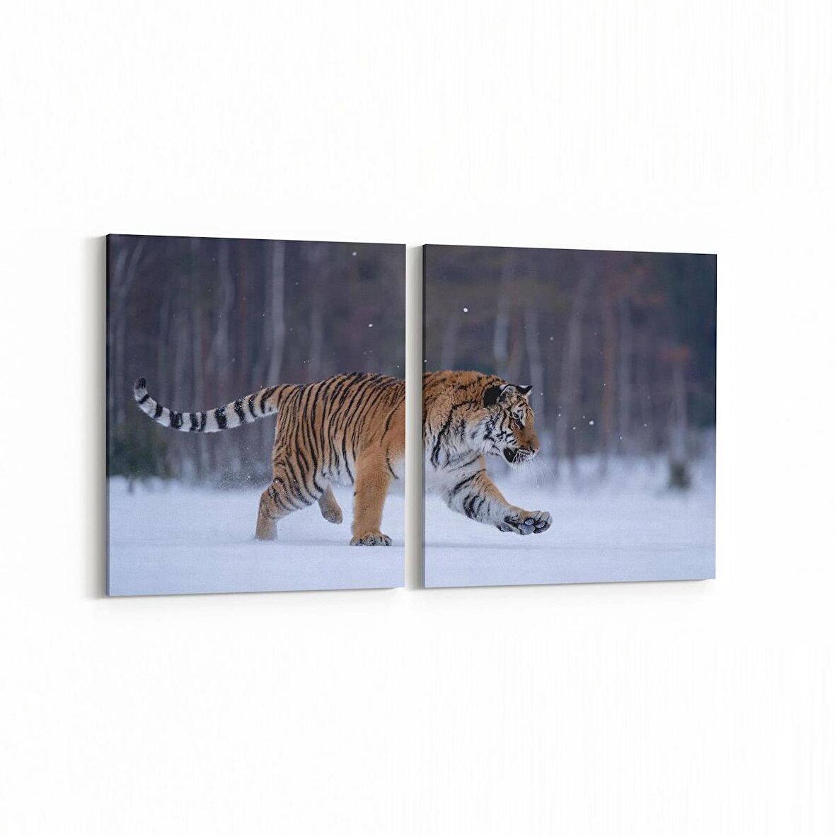 Olla 12518K2Y Hayvanlar Alemi Görseli Kare 2'li Yatay Kanvas Tablo (Ölçü: 65X30)