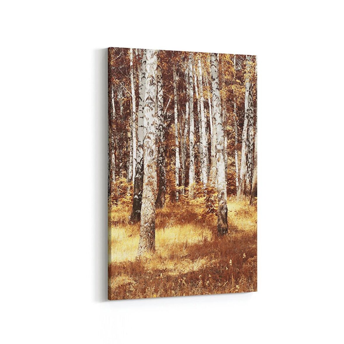 Olla 14095D Doğa / Manzara Görseli Dikey Kanvas Tablo (Ölçü: 60X90)