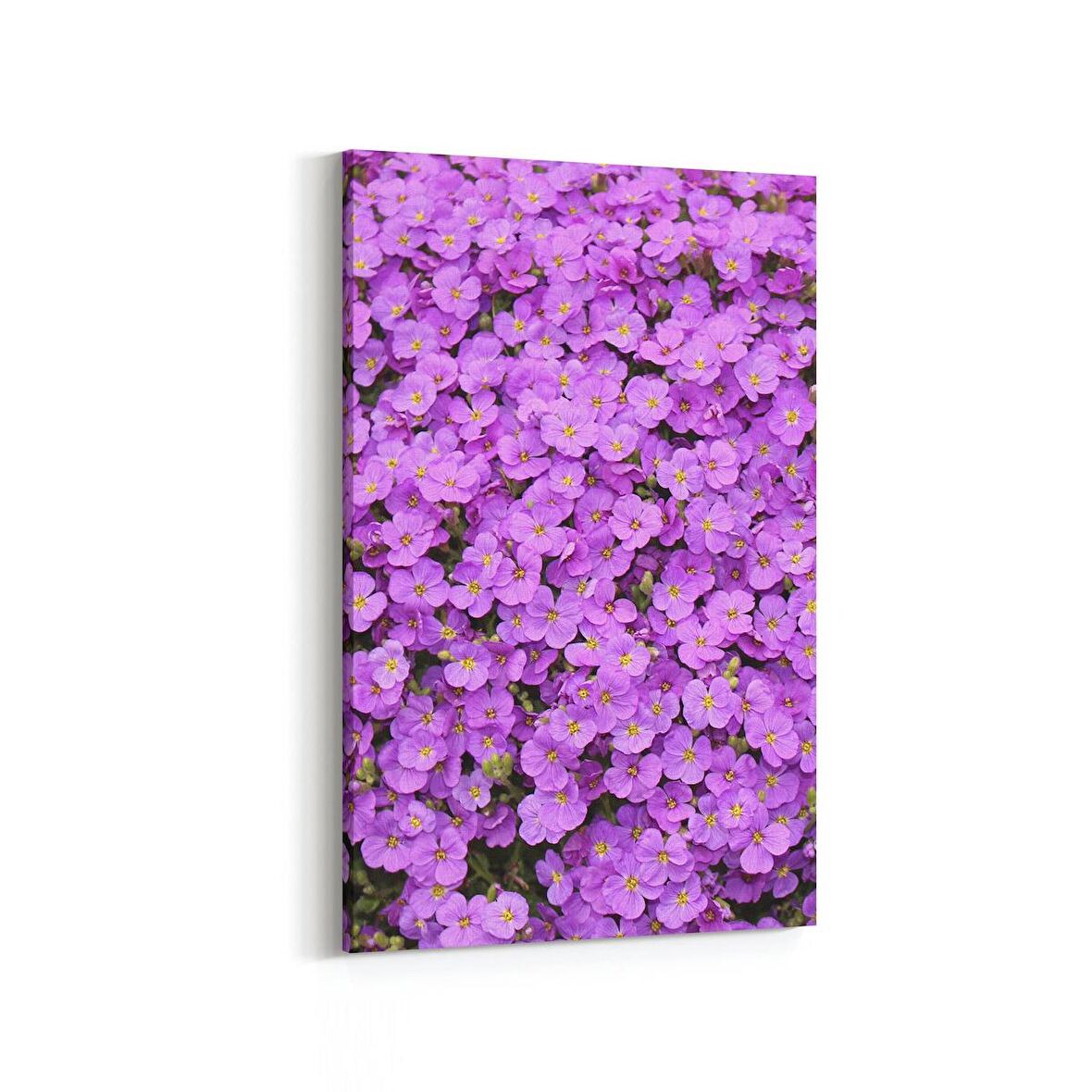 Olla 11587D Çiçek Görseli Dikey Kanvas Tablo (Ölçü: 60X90)