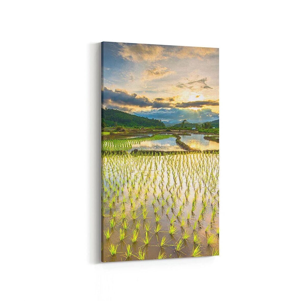 Olla 16040DD Günbatımı Görseli Dikey Dar Kanvas Tablo (Ölçü: 40X80)