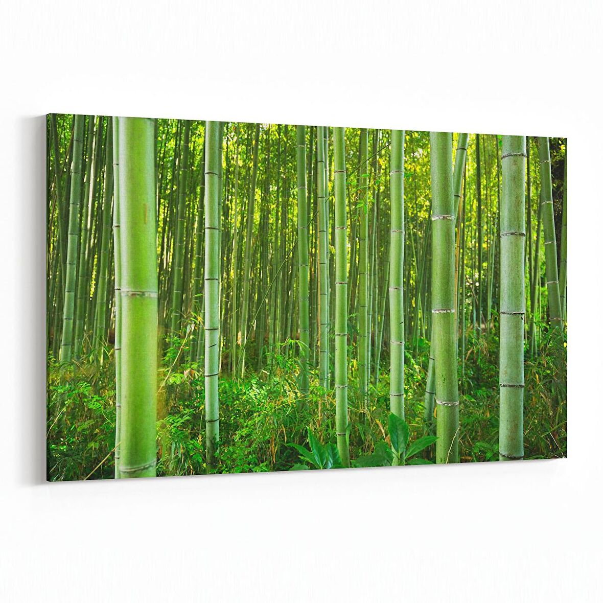 Olla 14377Y Doğa / Manzara Görseli Yatay Kanvas Tablo (Ölçü: 45X30)