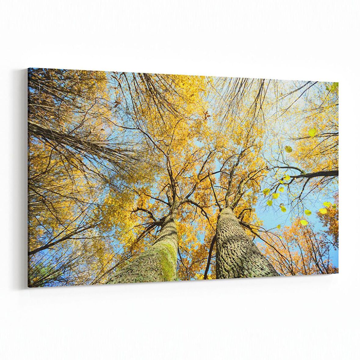 Olla 10802Y Ağaç Görseli Yatay Kanvas Tablo (Ölçü: 45X30)