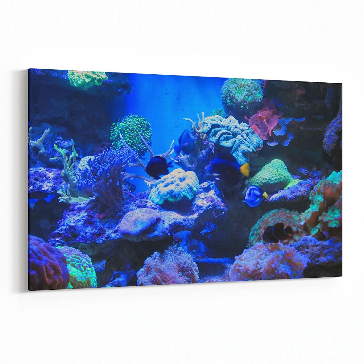 Olla 12068Y Akvaryum / Balık Görseli Yatay Kanvas Tablo (Ölçü: 150X100)