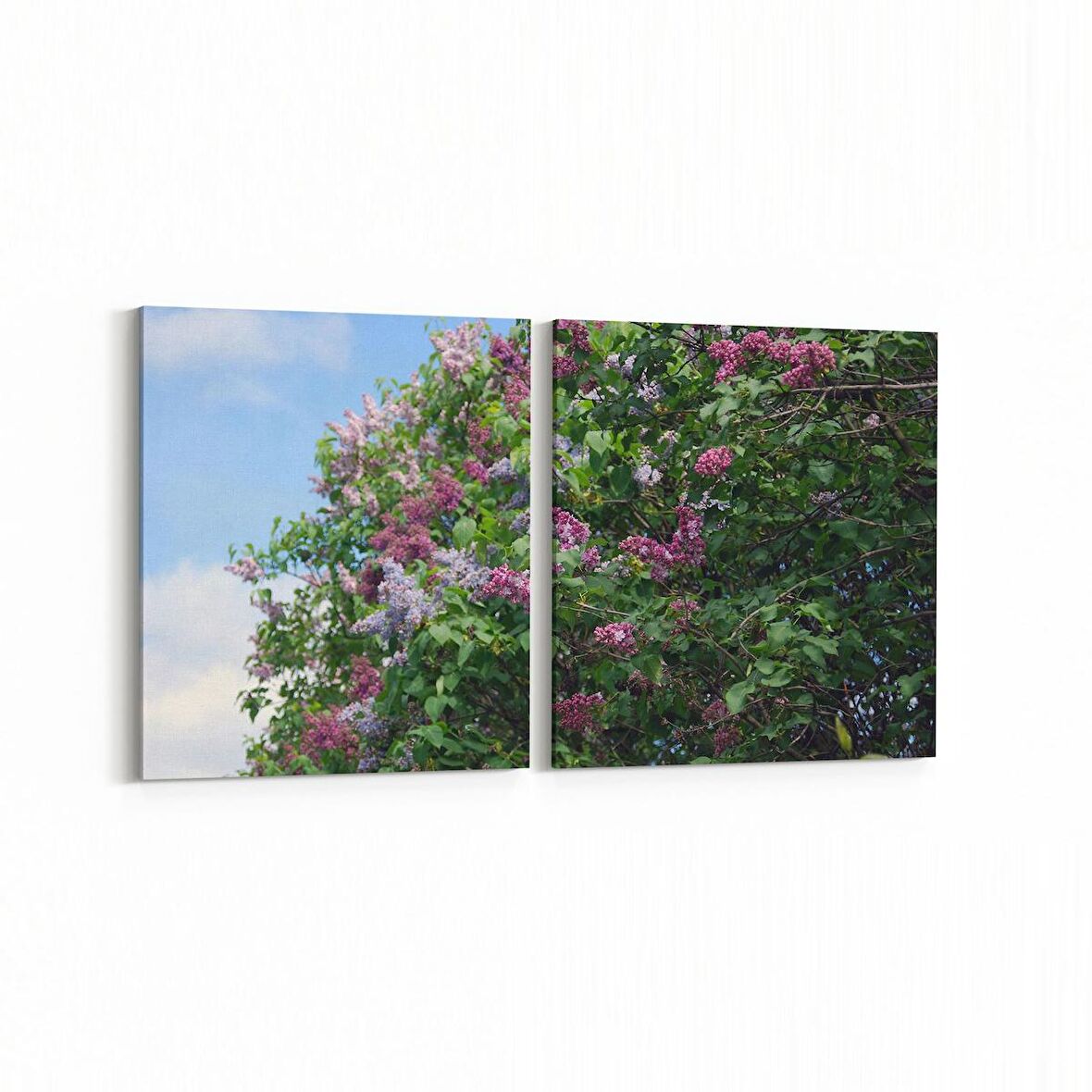 Olla 10870K2Y Ağaç Görseli Kare 2'li Yatay Kanvas Tablo (Ölçü: 125X60)