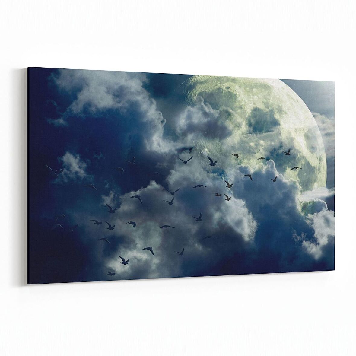 Olla 14853Y Gece Gökyüzü Görseli Yatay Kanvas Tablo (Ölçü: 120X80)