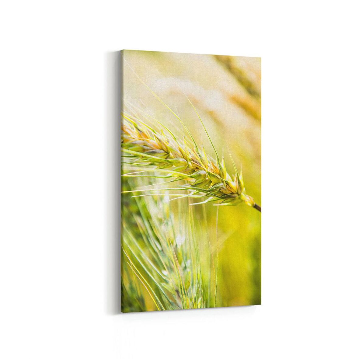 Olla 13670DD Doğa / Manzara Görseli Dikey Dar Kanvas Tablo (Ölçü: 40X80)