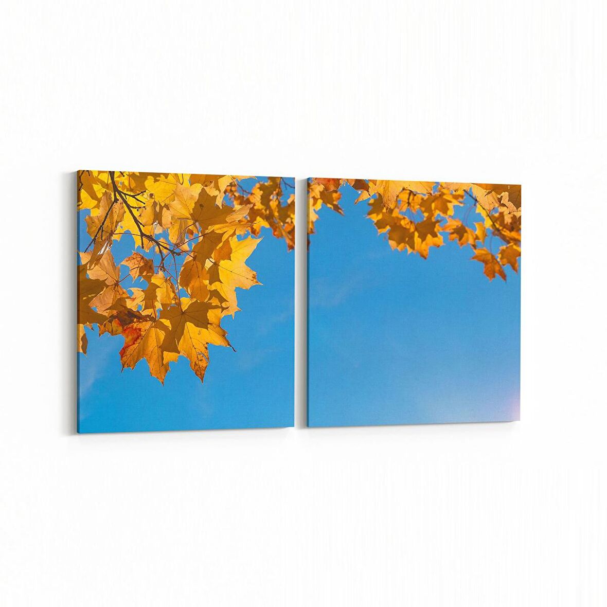 Olla 10527K2Y Ağaç Görseli Kare 2'li Yatay Kanvas Tablo (Ölçü: 65X30)