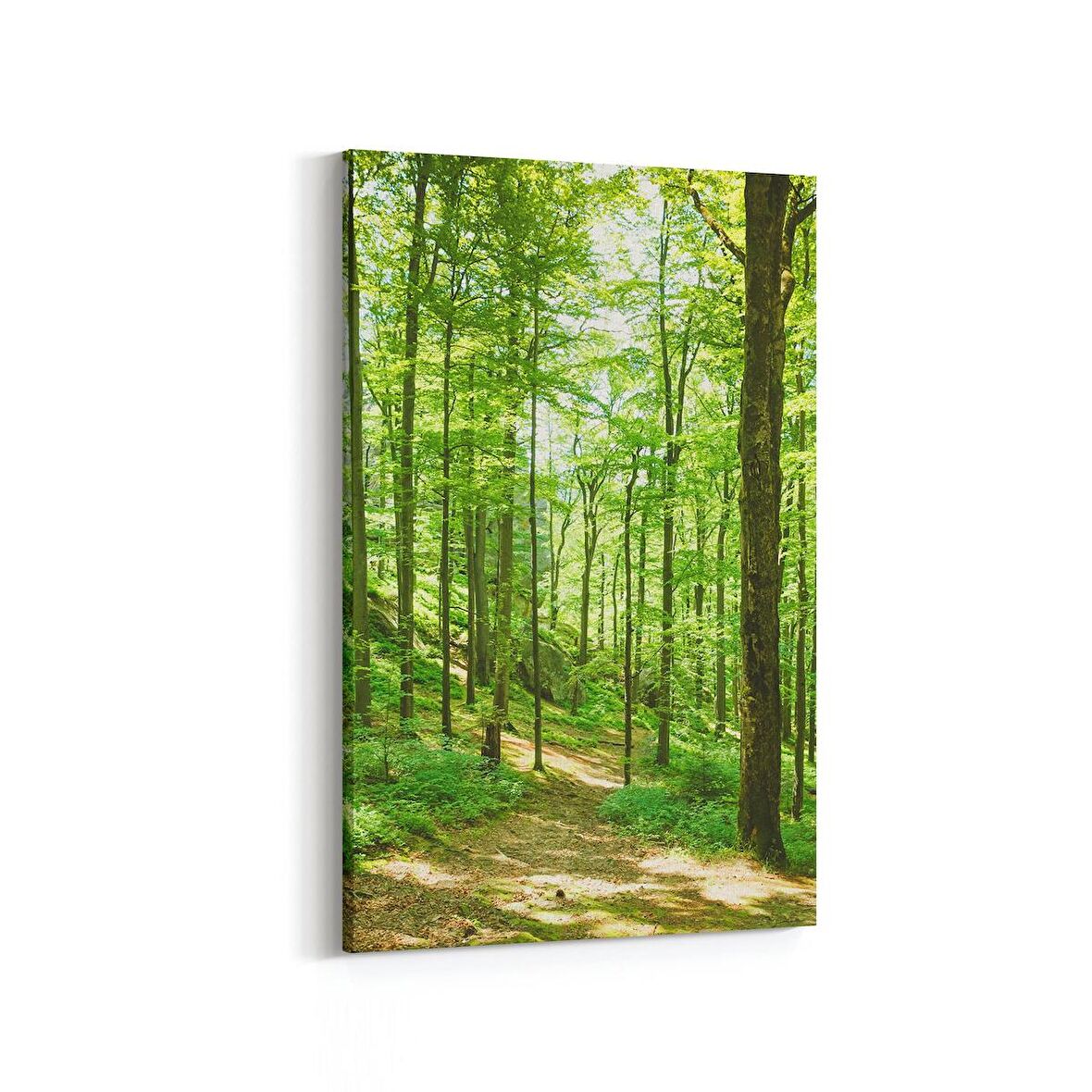 Olla 13850D Doğa / Manzara Görseli Dikey Kanvas Tablo (Ölçü: 60X90)