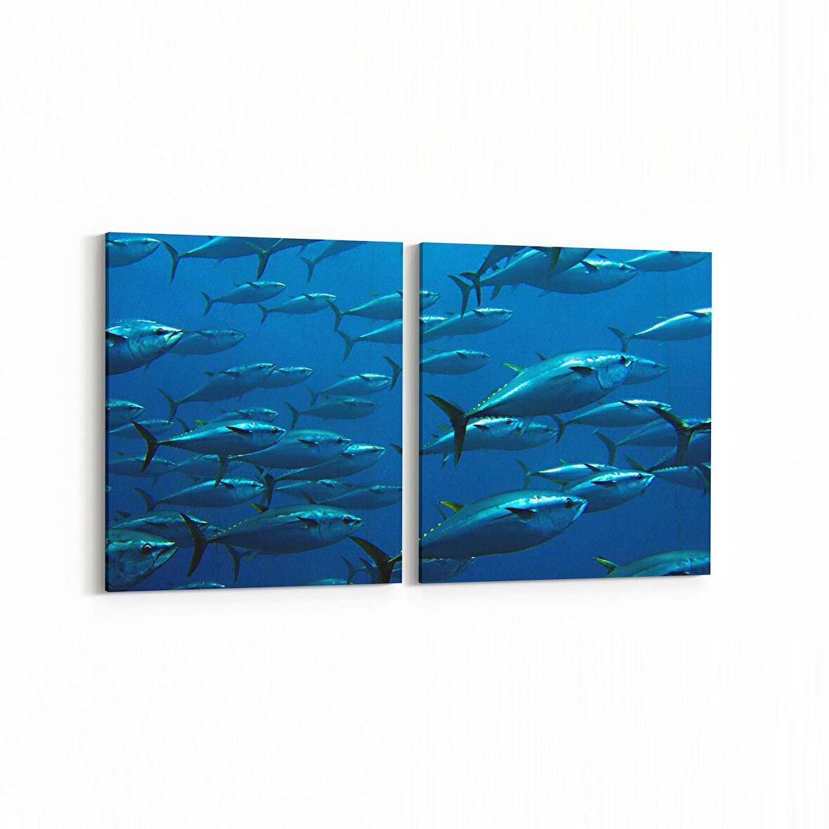 Olla 12866K2Y Deniz / Okyanus Görseli Kare 2'li Yatay Kanvas Tablo (Ölçü: 125X60)
