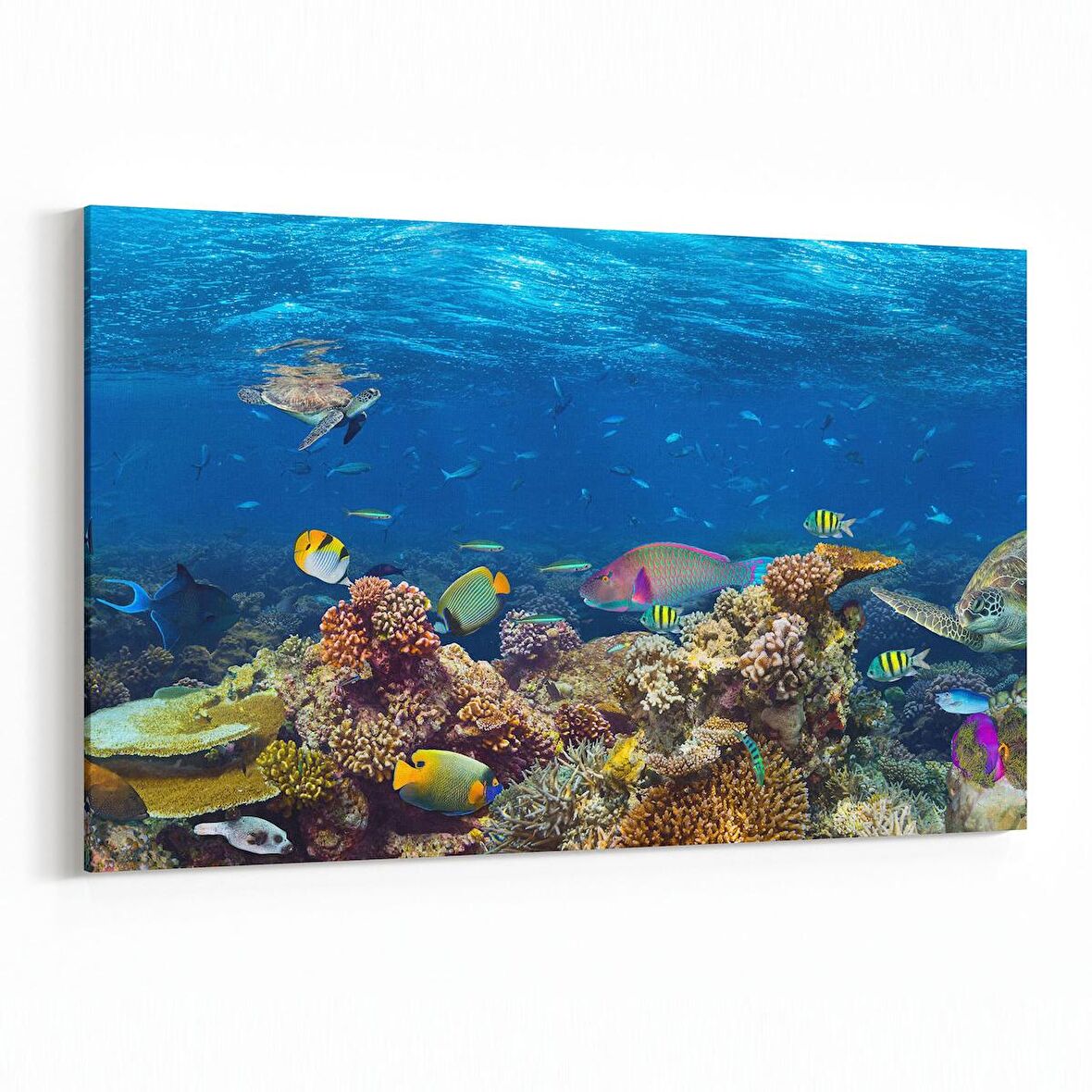 Olla 12159Y Akvaryum / Balık Görseli Yatay Kanvas Tablo (Ölçü: 45X30)