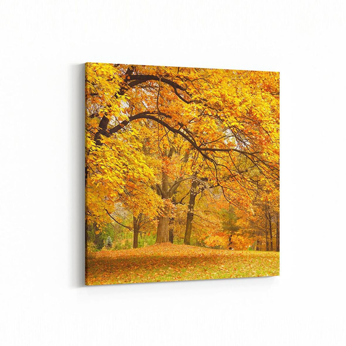 Olla 13229K Doğa / Manzara Görseli Kare Kanvas Tablo (Ölçü: 100X100)