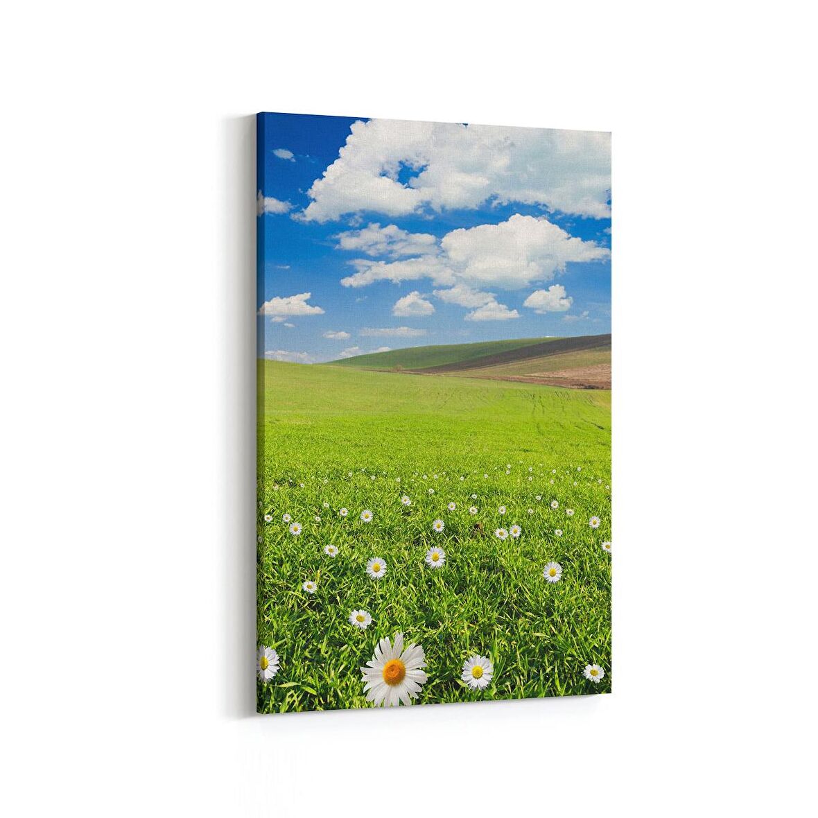 Olla 13718D Doğa / Manzara Görseli Dikey Kanvas Tablo (Ölçü: 60X90)