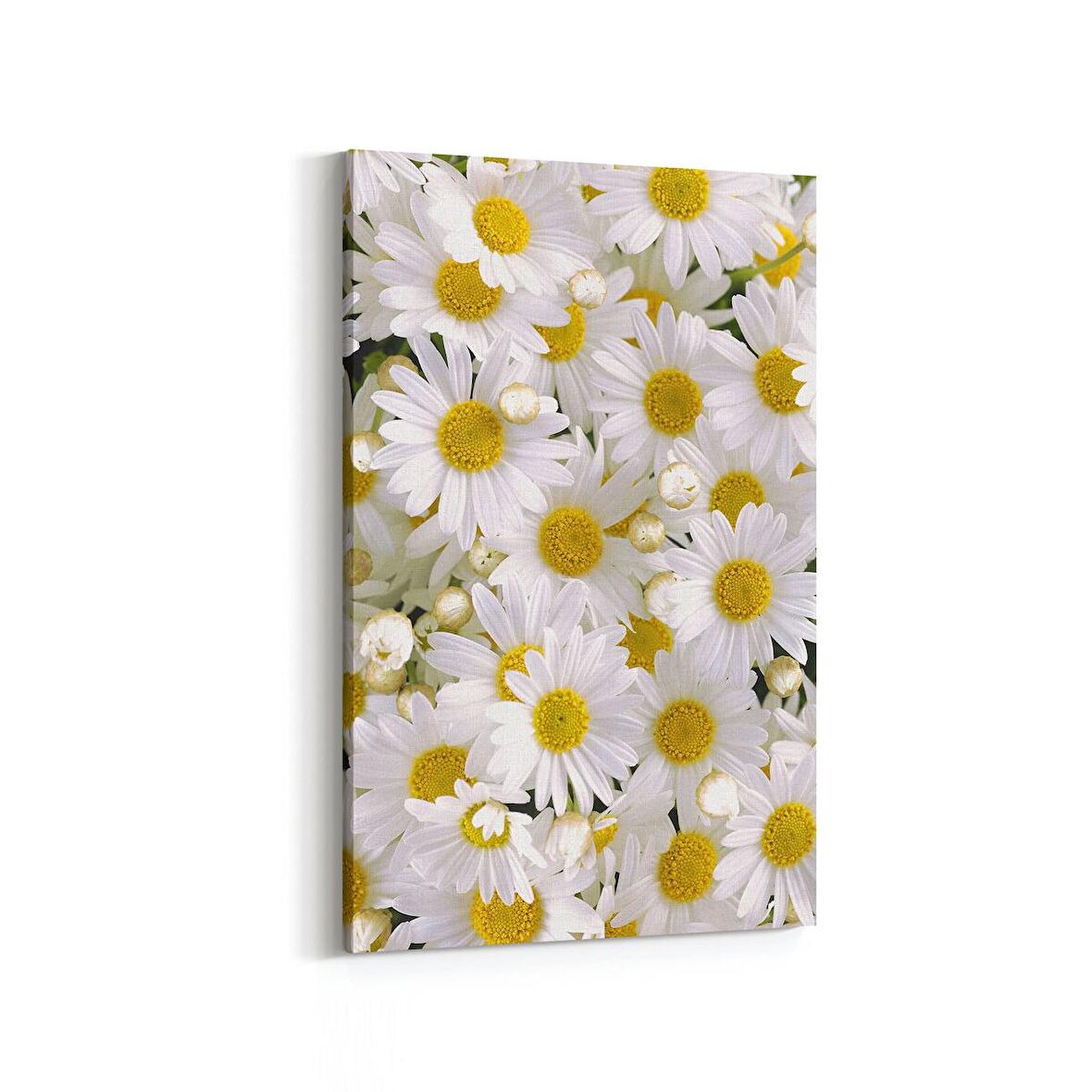 Olla 11634D Çiçek Görseli Dikey Kanvas Tablo (Ölçü: 70X105)