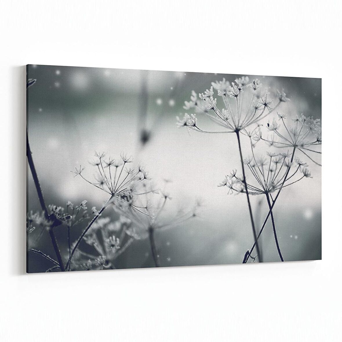 Olla 10797Y Ağaç Görseli Yatay Kanvas Tablo (Ölçü: 90X60)