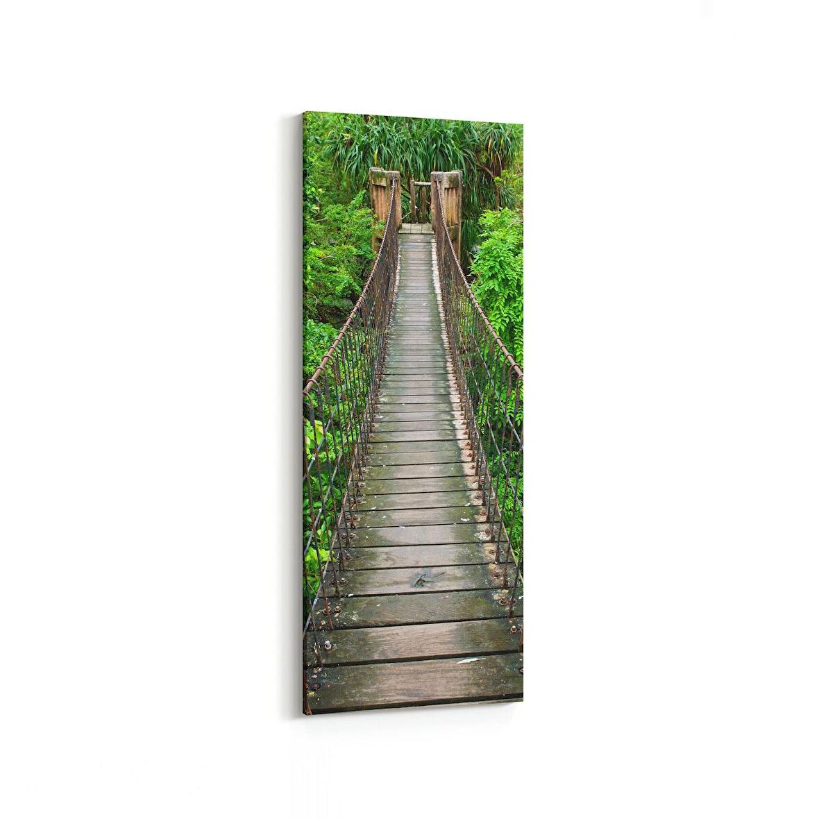 Olla 14286DI Doğa / Manzara Görseli Dikey İnce Kanvas Tablo (Ölçü: 40X120)