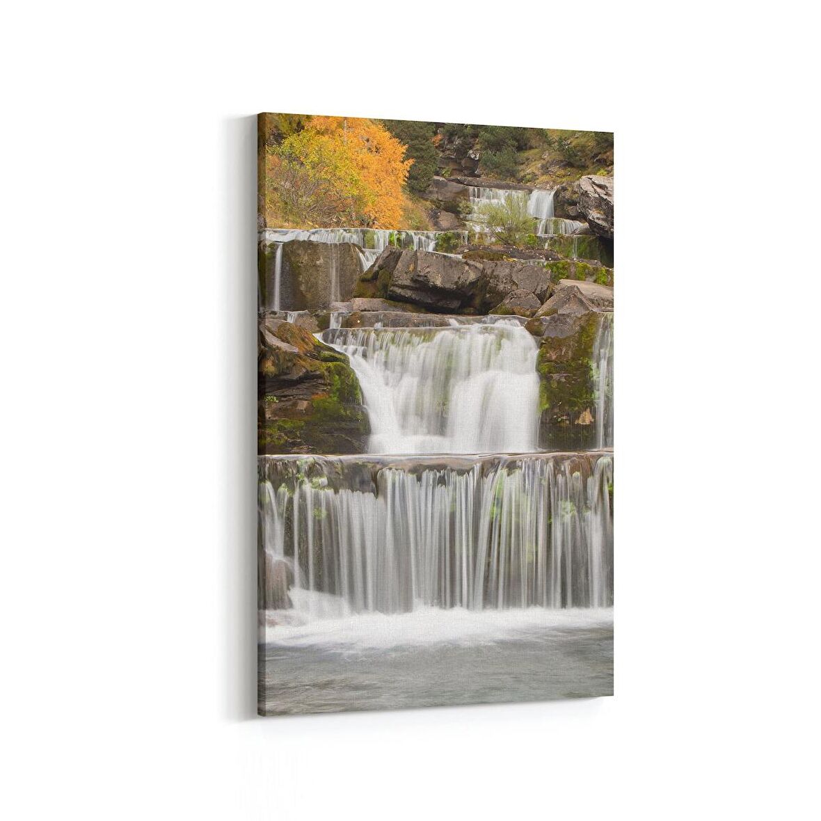 Olla 14154D Doğa / Manzara Görseli Dikey Kanvas Tablo (Ölçü: 100X150)