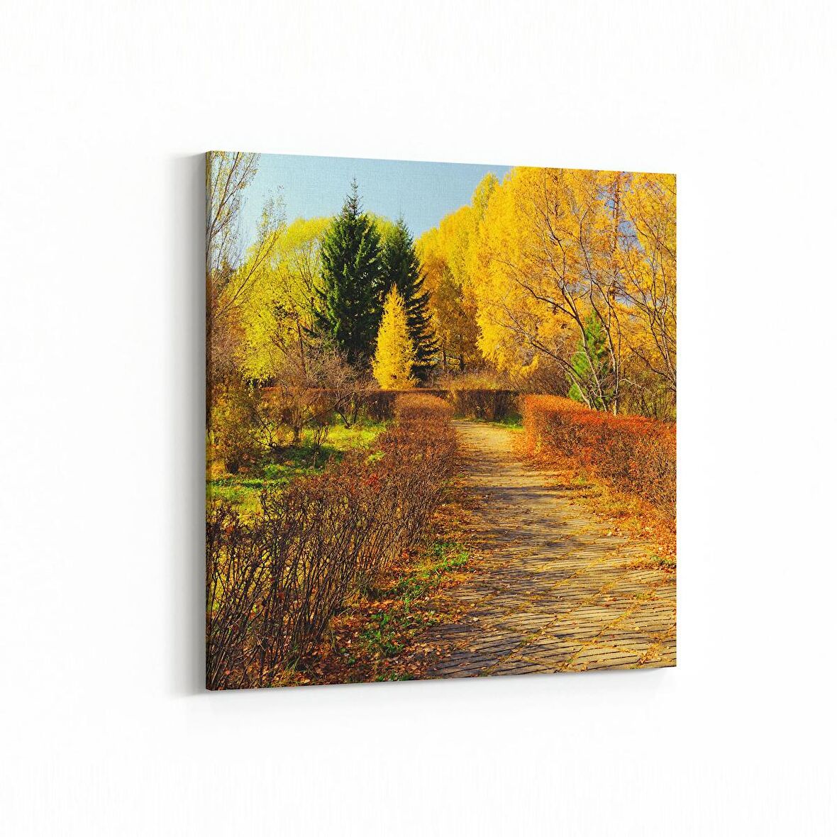 Olla 13235K Doğa / Manzara Görseli Kare Kanvas Tablo (Ölçü: 60X60)