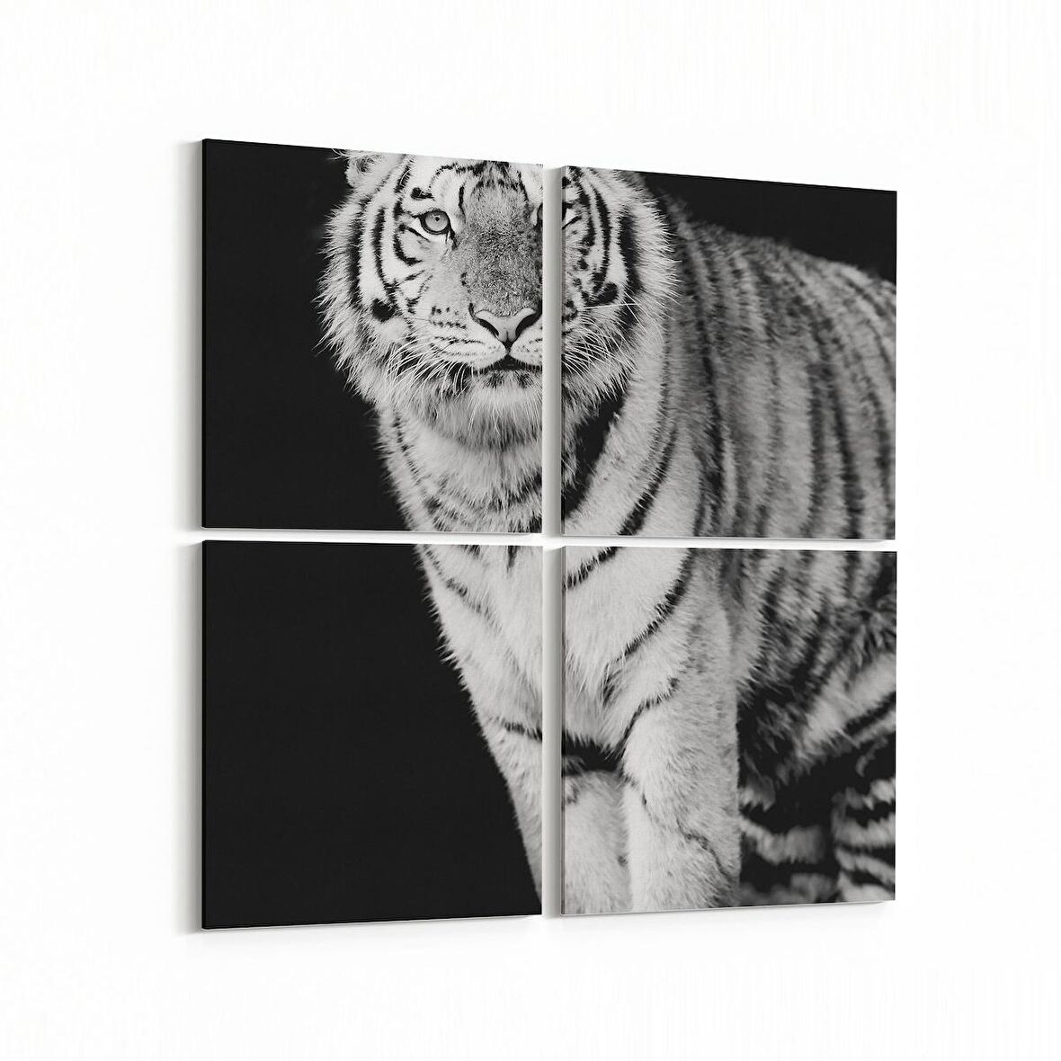 Olla 12537K4 Hayvanlar Alemi Görseli Kare 4'lü Kanvas Tablo (Ölçü: 65X65)