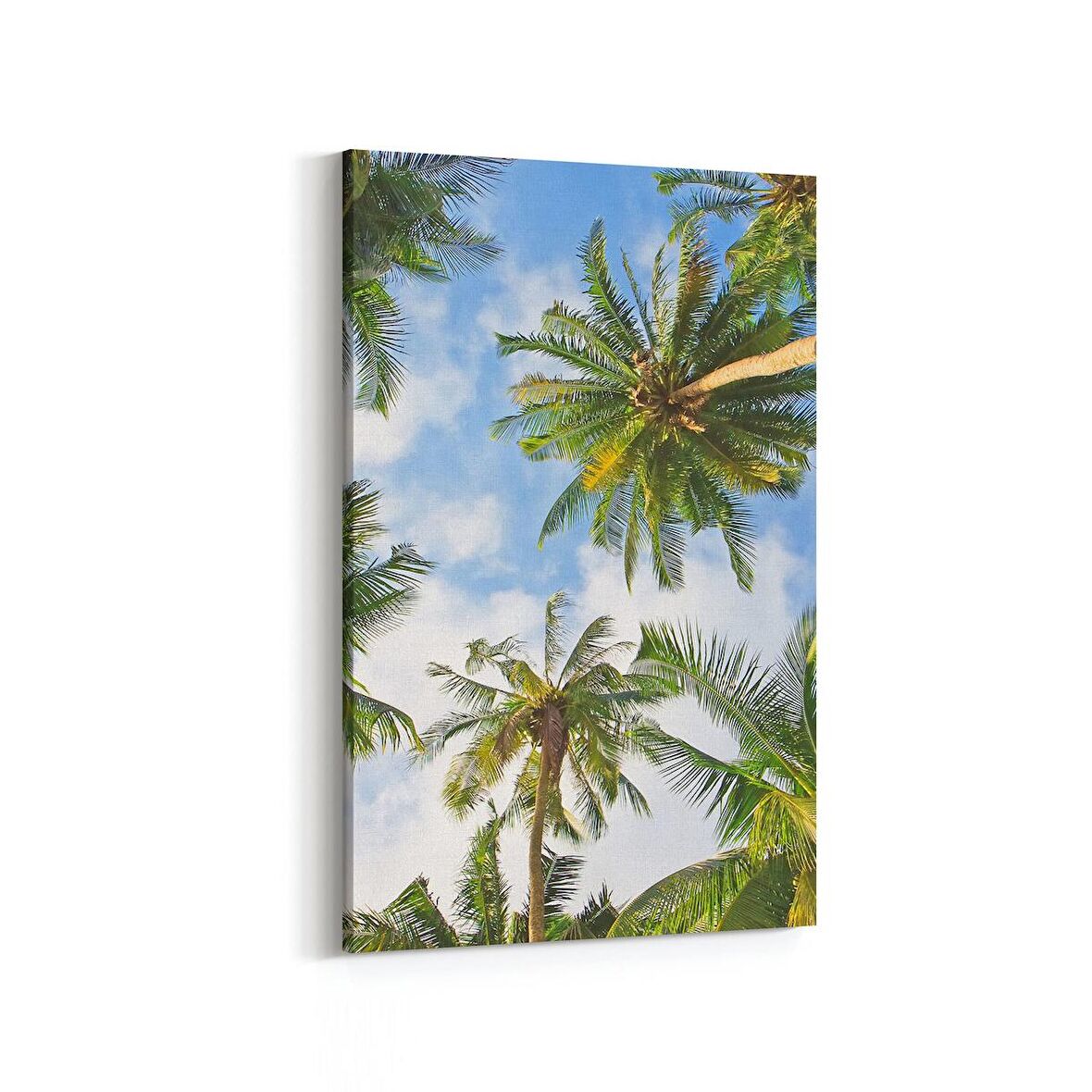 Olla 11501D Palmiye Ağacı Görseli Dikey Kanvas Tablo (Ölçü: 20X30)