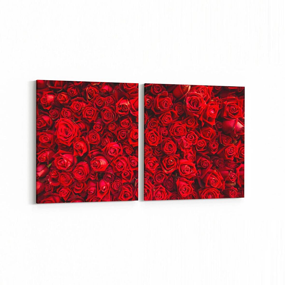 Olla 11603K2Y Çiçek Görseli Kare 2'li Yatay Kanvas Tablo (Ölçü: 65X30)