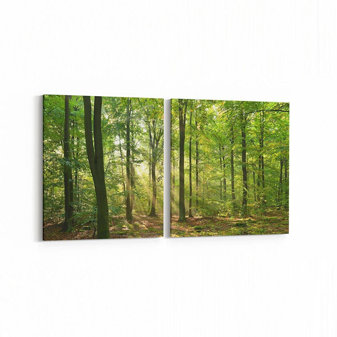 Olla 13599K2Y Doğa / Manzara Görseli Kare 2'li Yatay Kanvas Tablo (Ölçü: 125X60)