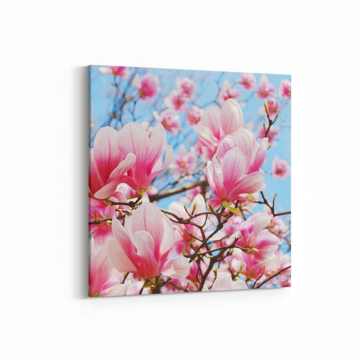 Olla 10556K Ağaç Görseli Kare Kanvas Tablo (Ölçü: 30X30)