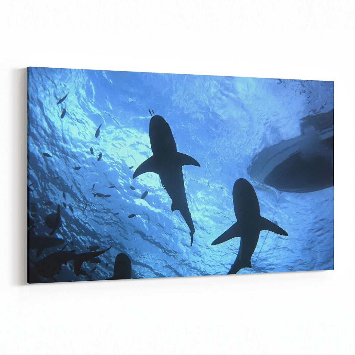 Olla 12924Y Deniz / Okyanus Görseli Yatay Kanvas Tablo (Ölçü: 45X30)