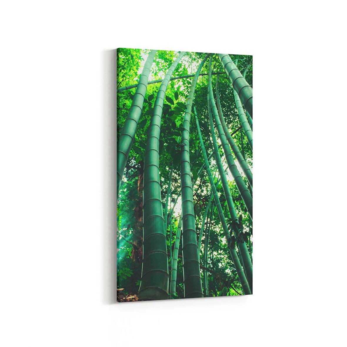 Olla 13313DD Doğa / Manzara Görseli Dikey Dar Kanvas Tablo (Ölçü: 60X120)